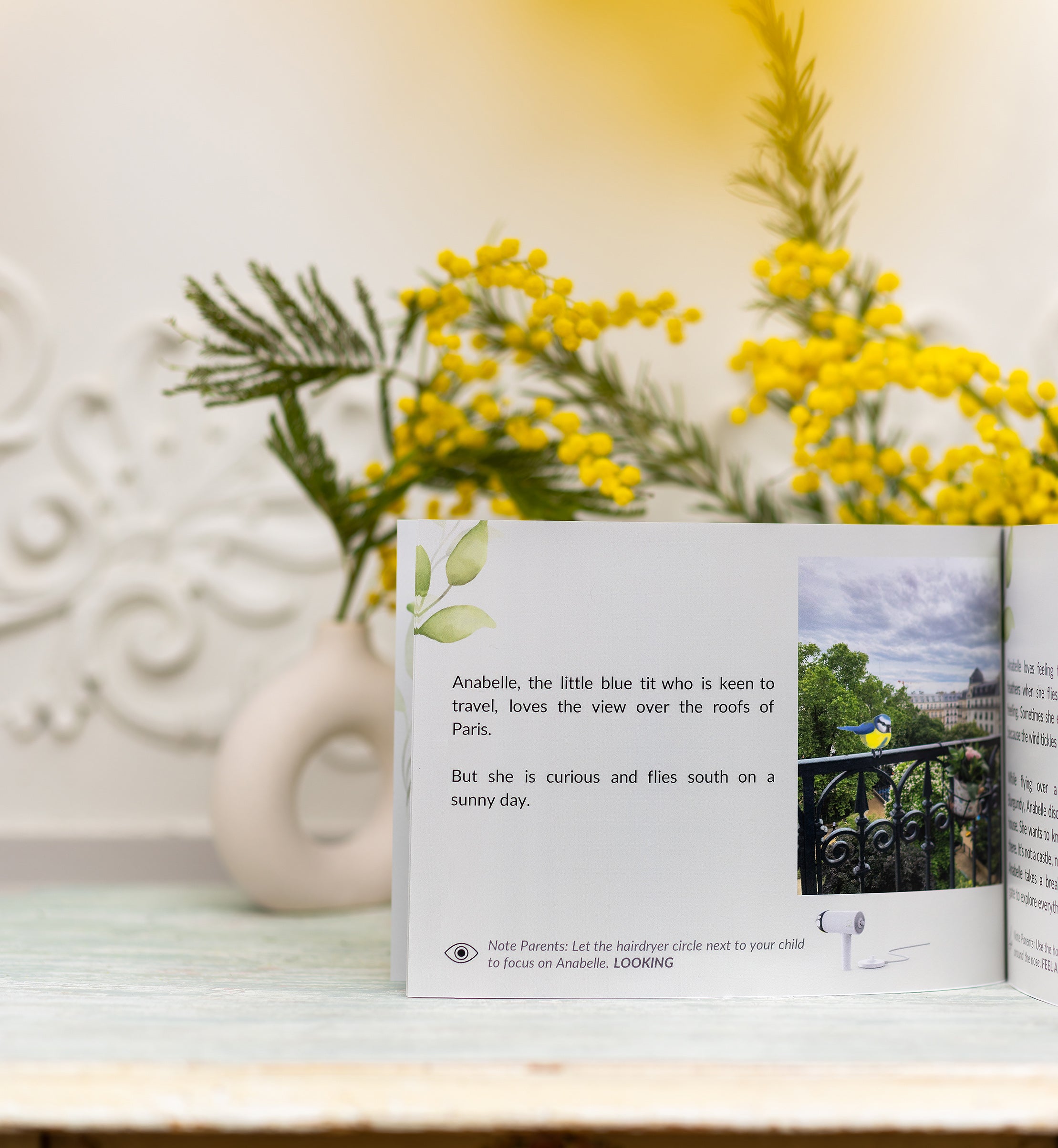 Version English: Anabelle, the curious blue tit, meets Monsieur Herisson on her trip to BurgundAnabelle, the curious blue tit, meets Monsieur Herisson on her trip to Burgundy